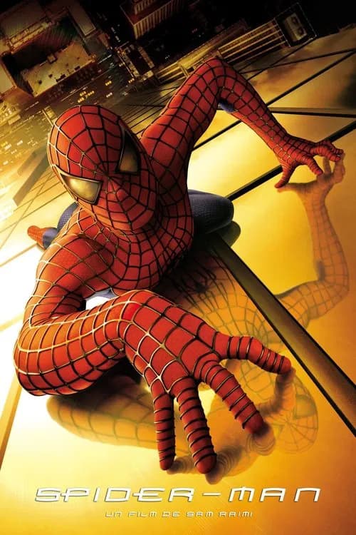 Affiche : Spider-Man